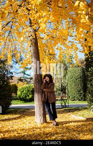 Donna che parla sul telefono cellulare mentre si sta sotto l'albero durante autunno Foto Stock