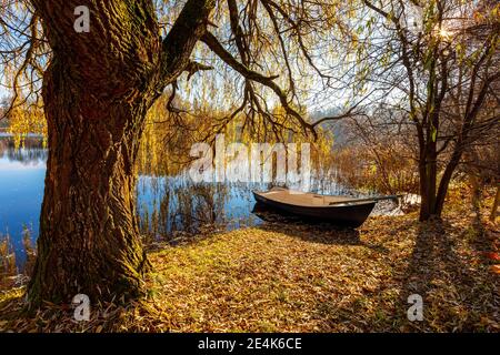 Warmia e Masuria, barca e salice presso il lago, Polonia Foto Stock