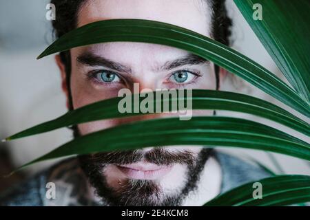Giovane uomo con occhi blu in piedi dietro la foglia a casa Foto Stock
