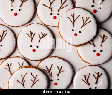 Biscotti di Natale fatti in casa con decorazione di renna Foto Stock