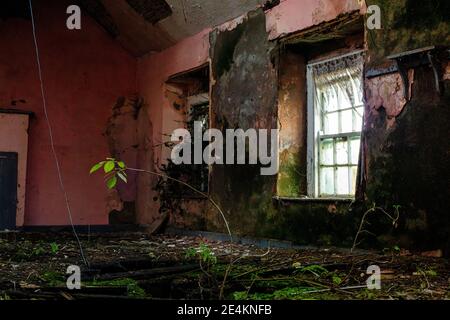 Edificio abbandonato in Co.. Monaghan, Irlanda Foto Stock