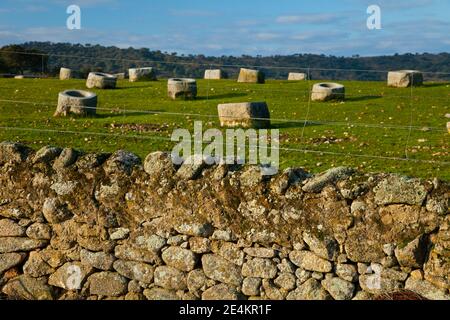 Comederos de granito, Parque Natural Sierra de Andújar, Jaen, Andalucía, España Foto Stock