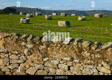 Comederos de granito, Parque Natural Sierra de Andújar, Jaen, Andalucía, España Foto Stock