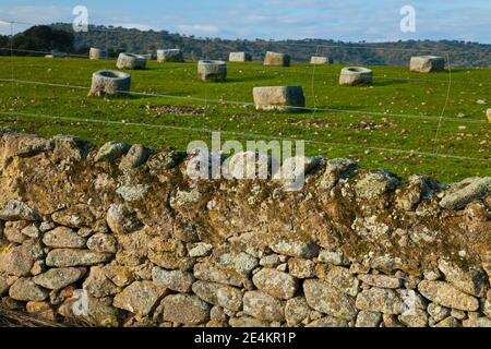 Comederos de granito, Parque Natural Sierra de Andújar, Jaen, Andalucía, España Foto Stock