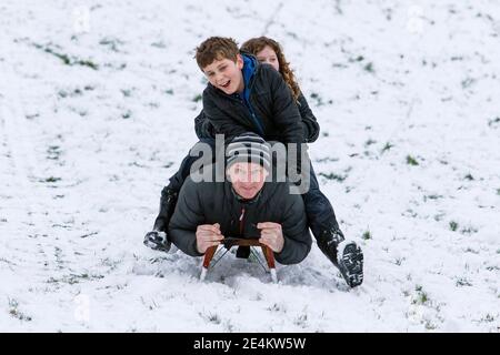 Chippenham, Wiltshire, Regno Unito. 24 gennaio 2021. Mentre i residenti di Chippenham si svegliano fino alla loro prima neve dell'anno, un uomo e due bambini vengono raffigurati in un parco locale a Chippenham mentre scivolano giù per una collina su una slitta. Credit: Lynchpics/Alamy Live News Foto Stock