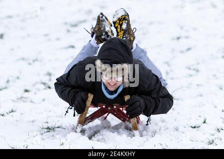 Chippenham, Wiltshire, Regno Unito. 24 gennaio 2021. Mentre i residenti di Chippenham si svegliano fino alla loro prima neve dell'anno, un ragazzo che si gode la neve prima che si scioglie viene raffigurato in un parco locale a Chippenham, mentre si accelera su una collina su una slitta. Credit: Lynchpics/Alamy Live News Foto Stock