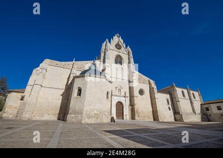 Facciata laterale della cattedrale simbolo di San Antolin, monumento gotico del XIV secolo, nella città di Palencia, Castiglia Leon, Spagna, Europa Foto Stock