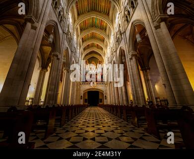 Vista dell'organo e della navata principale della Cattedrale dell'Almudena dal transetto. Foto Stock