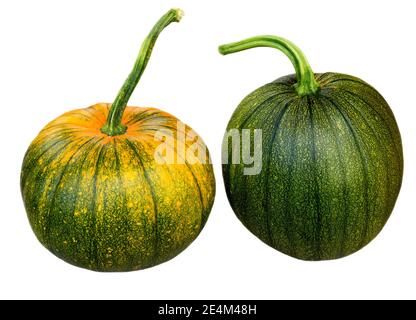 Zucca fresca isolata su sfondo bianco con tracciato di ritaglio. Zucca halloween autunnale Foto Stock