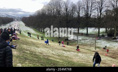 La gente slitta e si diverte con la neve nella tenuta Stormont di Belfast. Data immagine: Domenica 24 gennaio 2021. Foto Stock