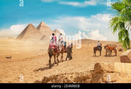 Cammelli nel deserto sabbioso vicino a piramidi al giorno Foto Stock
