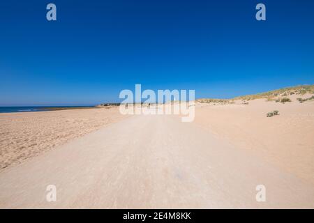 Pista di sabbia solitaria vicino alla spiaggia di Capo Trafalgar, nel villaggio di Canos Meca (Barbate, Cadice, Andalusia, Spagna) Foto Stock