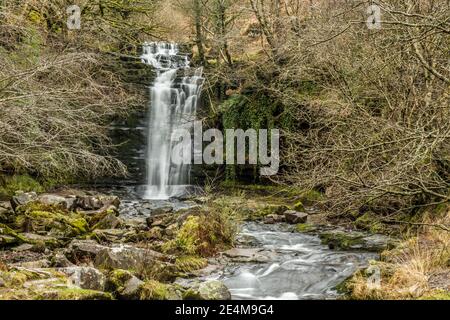 La cascata di Blien y Glyn sul fiume Caerfanell nel Central Brecon Beacons, nel Galles meridionale. Foto Stock