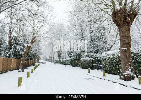 Londra, Regno Unito. 24 gennaio 2021. UK Weather - la prima caduta di neve dell'anno arriva a Northwood, a nord-ovest di Londra. Credit: Stephen Chung / Alamy Live News Foto Stock