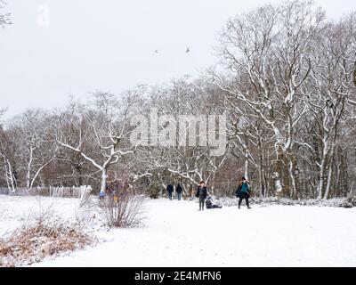 CROYDON, UK - 24 JUANARY 2020: Croham Hurst, South Croydon, Londra nella neve. Foto Stock