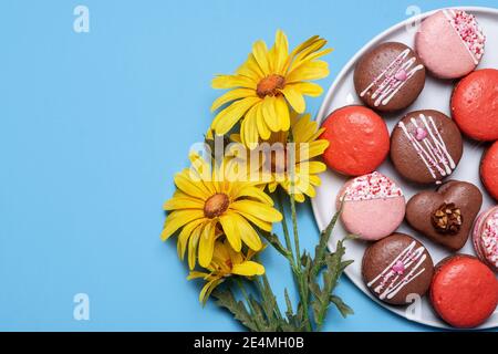 Macaron assortiti su sfondo blu con margherita giallo primaverile fiori con spazio per la copia e spazio per il testo Foto Stock