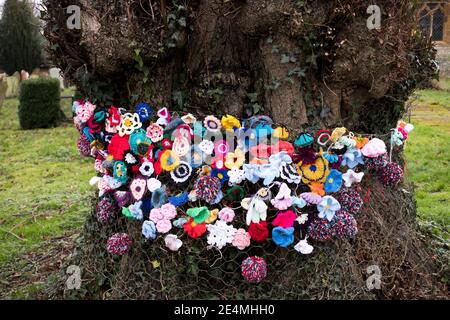 Fiori di lana lavorati a maglia su un albero in un cimitero a Bugbrooke, Northamptonshire Foto Stock