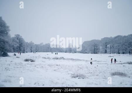 Richmond upon Thames, Londra | UK - 2021.01.24: Bel Richmond Park coperto di neve su freddo Domenica mattina d'inverno Foto Stock