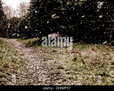 Neve in Great Bardfield Braintree Essex su un sentiero Foto Stock