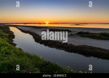 Splendida nightfall con un cielo colorato su zone umide e canali paesaggio naturale Foto Stock