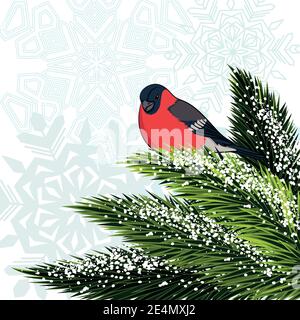 Bullfinch seduto sul ramo di pino. Illustrazione vettoriale. Illustrazione Vettoriale