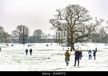 La gente gode della neve in Prospect Park, Reading, Berkshire, UK. Anche se ci è un blocco del coronavirus, la gente sta fuori godendo il loro esercizio. Foto Stock