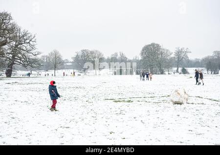 La gente gode della neve in Prospect Park, Reading, Berkshire, UK. Anche se ci è un blocco del coronavirus, la gente sta fuori godendo il loro esercizio. Foto Stock