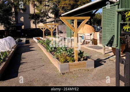 Giardini urbani, Parco, forno sterrato, Eventi, personaggi storici famosi, famiglie, Kale, Cabbage, suolo, Gazebo, copertura a basse temperature, e Puns vegetariani Foto Stock