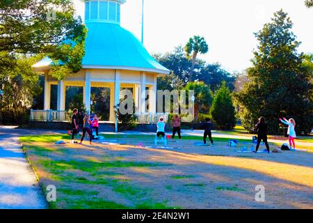 Giardini urbani, Parco, forno sterrato, Eventi, personaggi storici famosi, famiglie, Kale, Cabbage, suolo, Gazebo, copertura a basse temperature, e Puns vegetariani Foto Stock