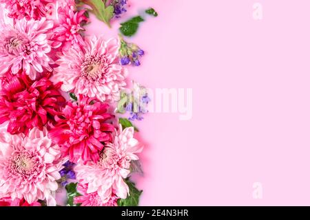 Fondo floreale tenero con fiori di Chrysantheum o di mums galleggianti in bagno d'acqua di latte rosa, lato sinistro. Beauty spa, relax e trattamenti benessere Foto Stock