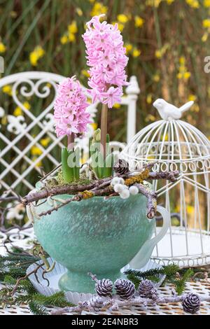 decorazione con fiore di giacinto rosa in vaso di piante Foto Stock