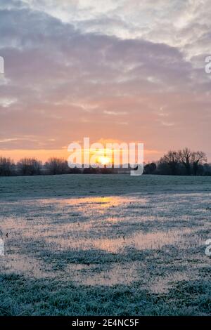 Campo frosty Waterlogged all'alba di gennaio. Oxfordshire, Inghilterra Foto Stock