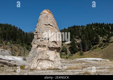 Liberty Cap, un cono termale caldo, Mammoth Hot Springs, Yellowstone National Park, Wyoming, USA Foto Stock