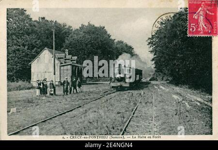 Maxime Martin 1 - CRECY-EN-PONTHIEU - la Halte en Forêt. Foto Stock