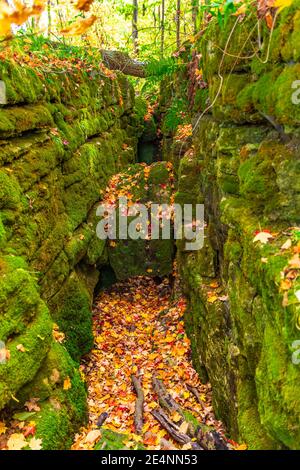 Hilton Falls Conservation Area Hamilton Ontario Canada Foto Stock