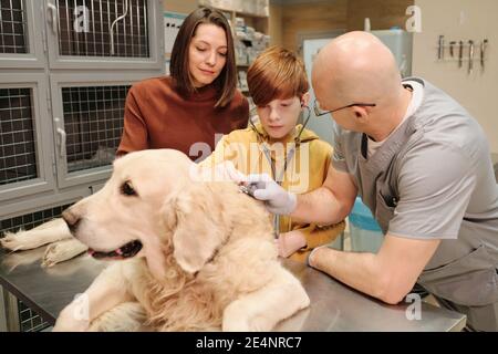 Ragazzino che esamina il suo animale domestico con stetoscopio insieme alla madre e medico in clinica Foto Stock