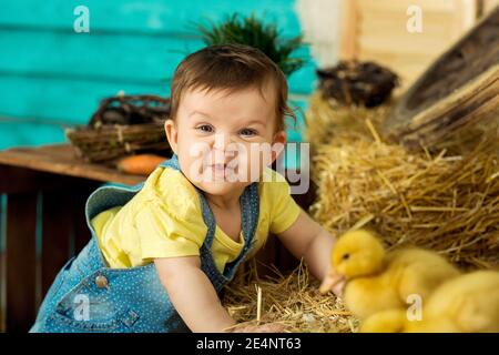 Felice bambina è giocato con graziosi soffici anatroccoli di pasqua. Foto Stock