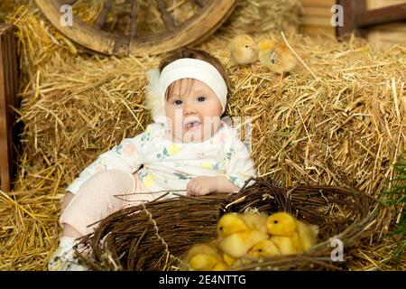 Felice bambina è giocato con graziosi soffici anatroccoli di pasqua. Foto Stock