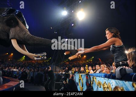 La Principessa Stephanie partecipa al 20 gennaio 2008 al Festival Internazionale del Circo di Monte Carlo a Monaco. Foto di Pool/ABACAPRESS.COM Foto Stock