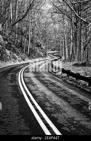 Il Blue Ridge Parkway si aggira intorno alle colline vicino ad Asheville, North Carolina, USA Foto Stock