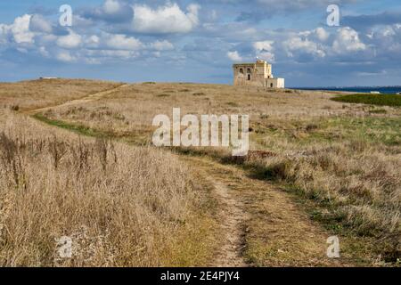 Torre difensiva antica del XVI secolo Torre Guaceto in Centro DI una Riserva Naturale lungo la Costa di Puglia Italia Foto Stock