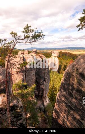 Scogliere nel mezzo della pineta in una bella giornata. Foto Stock