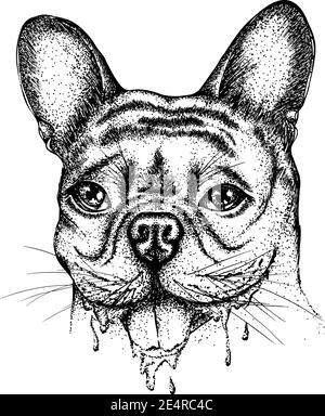 Ritratto di un bulldog con gocciolamento. Illustrazione vettoriale disegnata a mano. Disegno monocromatico isolato su sfondo bianco Illustrazione Vettoriale