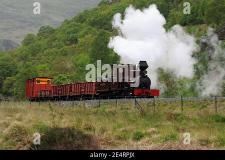 'Fiji' a sud di Bryn y Felin. Foto Stock