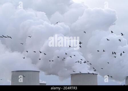 Una centrale elettrica industriale con camini da fumo a Peitz, Germania Foto Stock