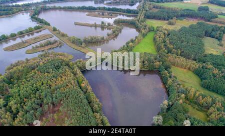 Vista aerea dei droni degli stagni di Milicz in Polonia Foto Stock