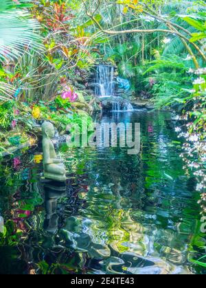 Il Marie Selby Botanical Gardens è un giardino botanico di 15 acri (6.1 ettari) situato in 900 South Palm Avenue a Sarasota, Florida. Foto Stock