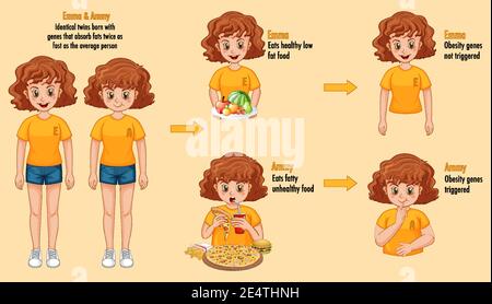 Ruoli dei geni e dell'ambiente. Tessuto adiposo corporeo in due gemelli identici infografica. Illustrazione Illustrazione Vettoriale