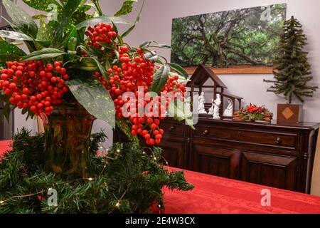 Festa Natale centrotavola fatta di Celeste Bamboo Nandina domestica - bacche rosse su cespuglio sempreverde aka bambù sacro - famiglia Berberidaceae Foto Stock