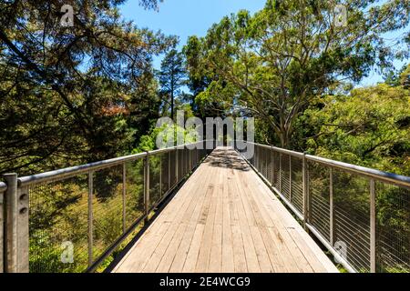 Riserva delle sorgenti minerali di Hepburn e sentieri per passeggiate, Hepburn Springs, Victoria, Australia Foto Stock